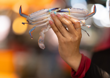 A hand holds a fresh blue swimming crab against the softly blurred lights of Kep’s seafood market, capturing the vibrant atmosphere of Cambodia's coastal fishing community. Photo by Aurélie Fischer, courtesy of Art for Kep.
