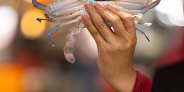 A hand holds a fresh blue swimming crab against the softly blurred lights of Kep’s seafood market, capturing the vibrant atmosphere of Cambodia's coastal fishing community. Photo by Aurélie Fischer, courtesy of Art for Kep.