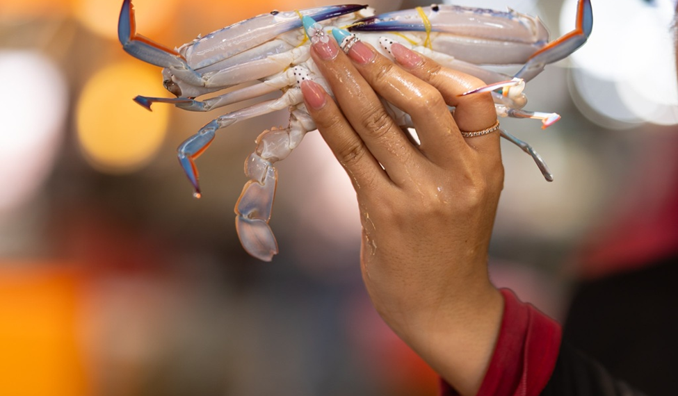 A hand holds a fresh blue swimming crab against the softly blurred lights of Kep’s seafood market, capturing the vibrant atmosphere of Cambodia's coastal fishing community. Photo by Aurélie Fischer, courtesy of Art for Kep.