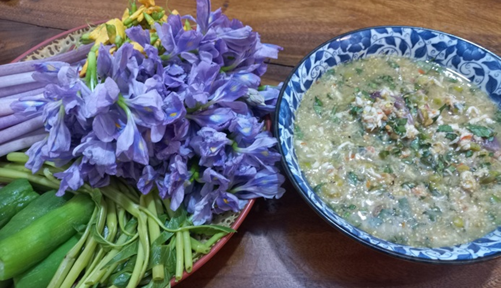 Cambodian shrimp dipping sauce, ទឹកគ្រឿងបង្គា, served with fresh herbs and vegetables
