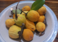 Fresh yellow and green kuy fruit, Willughbeia edulis, arranged on a white plate with vine stems and leaves in Cambodia