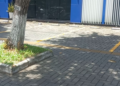 Tree-lined pavement and blue modern building on Norodom Boulevard in Phnom Penh.
