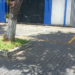 Tree-lined pavement and blue modern building on Norodom Boulevard in Phnom Penh.