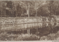 Historic ca. 1938 photograph of the Terrace of the Elephants in Angkor Thom, Cambodia, showing Khmer carvings, trees, and reflected water.