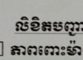 Close-up of a Cambodian administrative form listing civil status options, including នៅលីវ (single), ភាពមេម៉ាយ (widow or divorcee), and ភាពពោះម៉ាយ (widower or divorced man), with the "single" box checked.